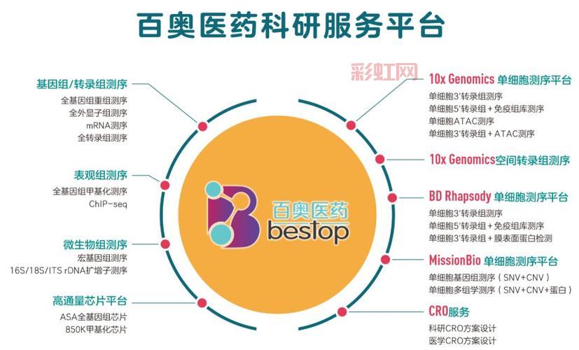 CD是什么意思？常见解释与应用领域详解