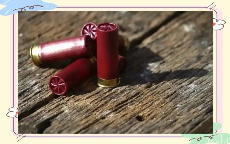 霰弹枪弹丸选择标准_霰弹枪射击过程_散弹枪枪管