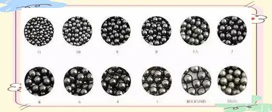 霰弹枪弹丸选择标准_散弹枪枪管_霰弹枪射击过程