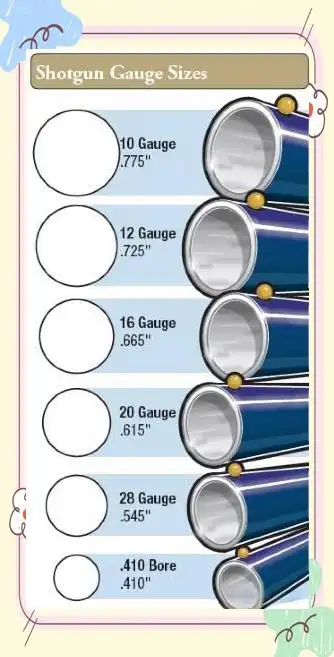 霰弹枪射击过程_霰弹枪弹丸选择标准_散弹枪枪管