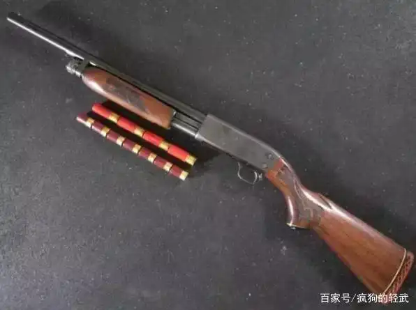 霰弹枪为何不用弹匣_霰弹枪管式弹仓原因_散弹枪枪管