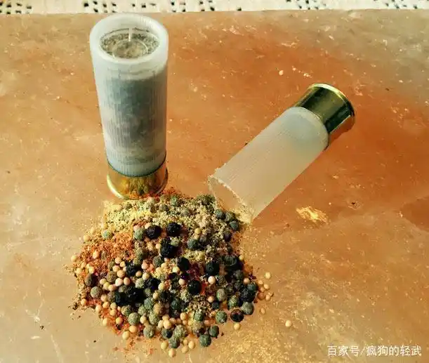 霰弹枪管式弹仓原因_霰弹枪为何不用弹匣_散弹枪枪管