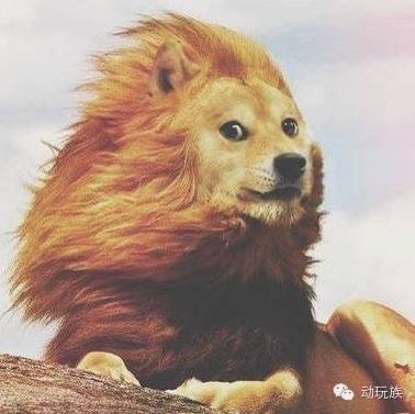 穿越火线之_当年玩CF的经历_穿越火线回忆录