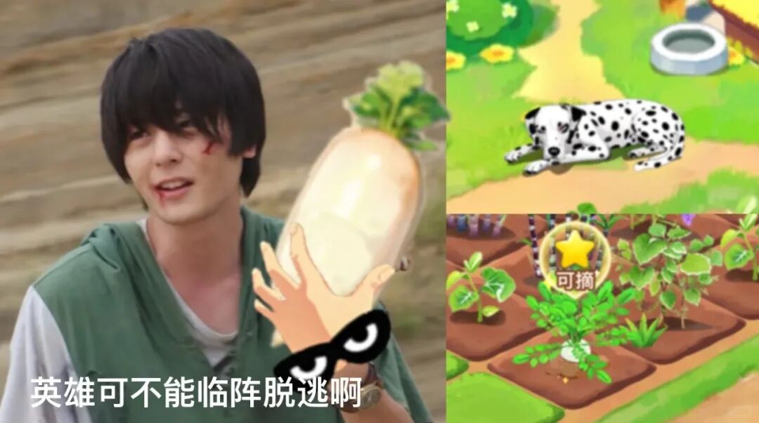 QQ农场小程序删档测试_360下载的开心农场怎么玩_QQ经典农场种田游戏