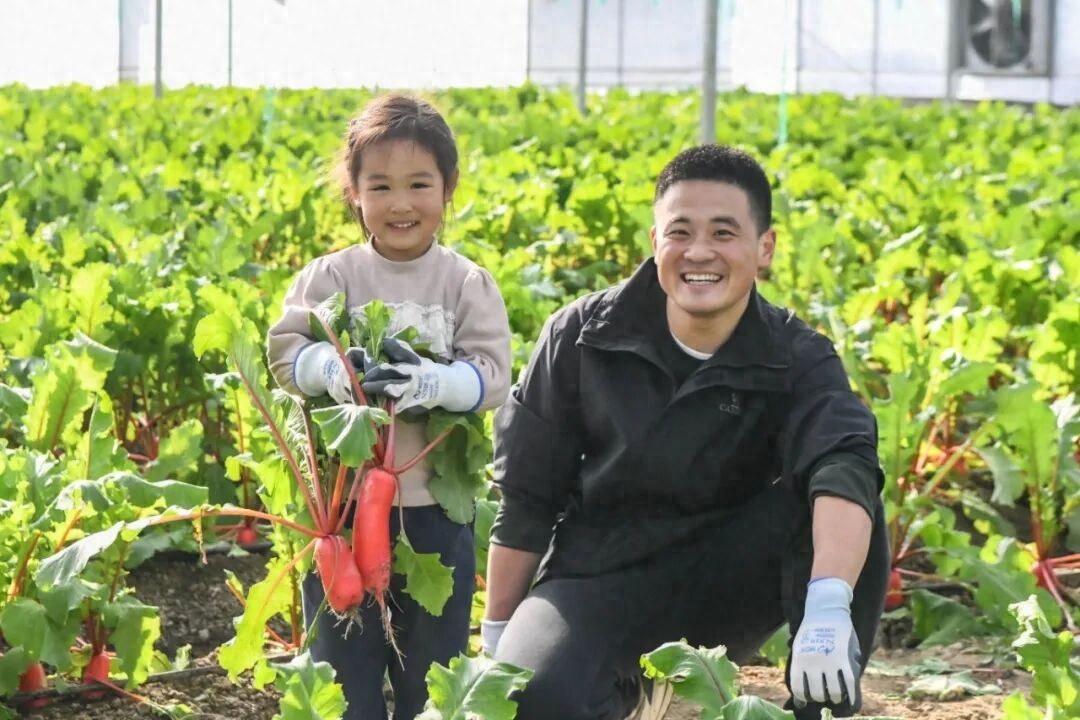 QQ农场照进高淳