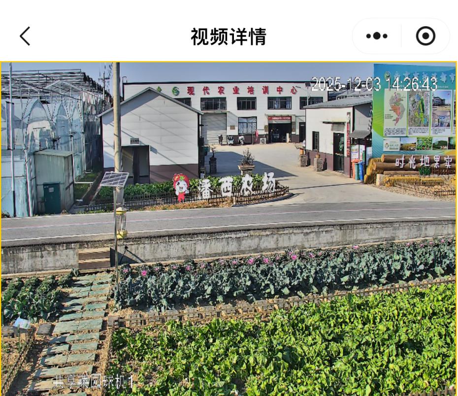 高淳共享菜地_360下载的开心农场怎么玩_都市农人体验