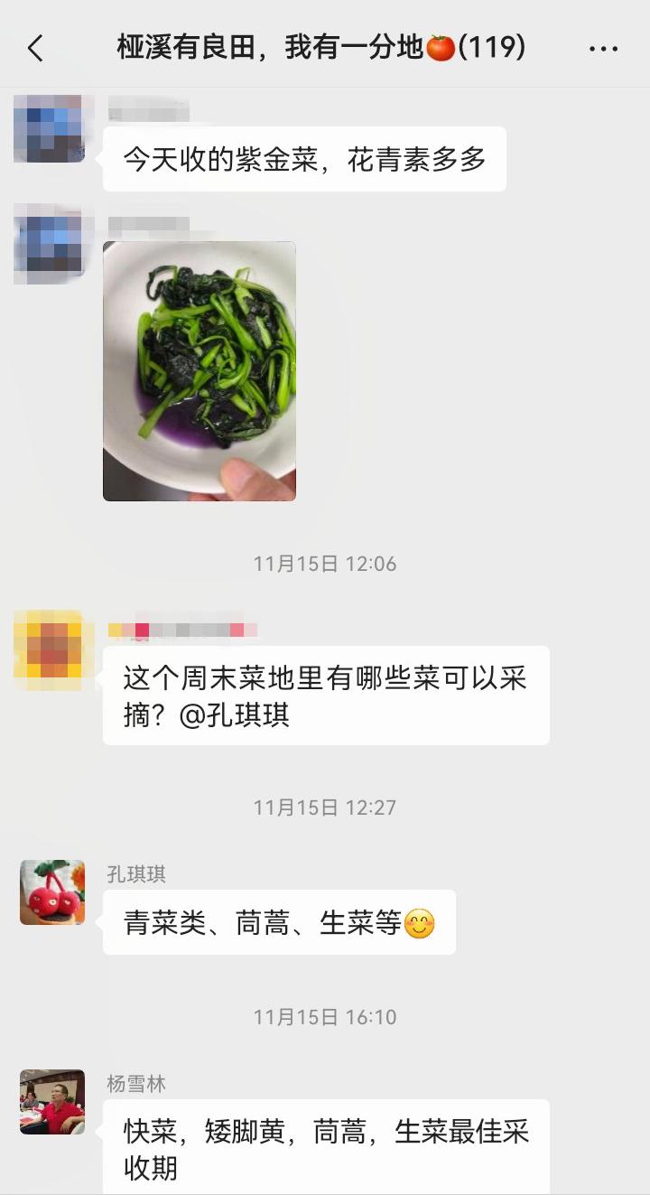 高淳共享菜地_都市农人体验_360下载的开心农场怎么玩