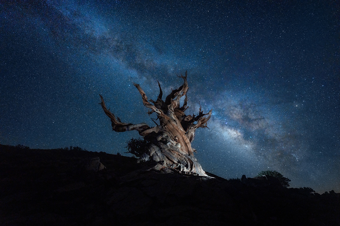 尼康Z卡口广角变焦镜头_尼康 14 28d_尼克尔Z14-24mmf2.8S镜头