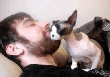 游戏神回复_搞笑游戏新闻_穿越火线破解图片