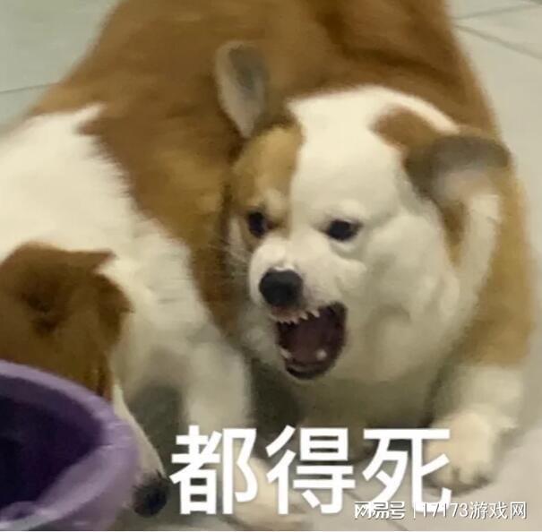 上古世纪停运时间_上古世纪什么时候公测_停运游戏分析