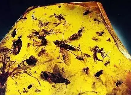 琥珀中保存的远古秘密：从青蛙到玛瑙的颜色