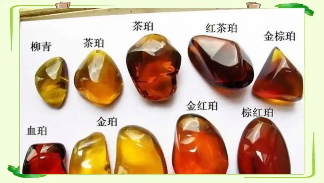 从琥珀发现的远古琥珀_琥珀中的古生物化石_琥珀形成过程