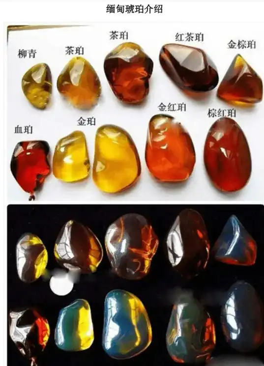 从琥珀发现的远古琥珀_琥珀形成过程_虫珀研究价值