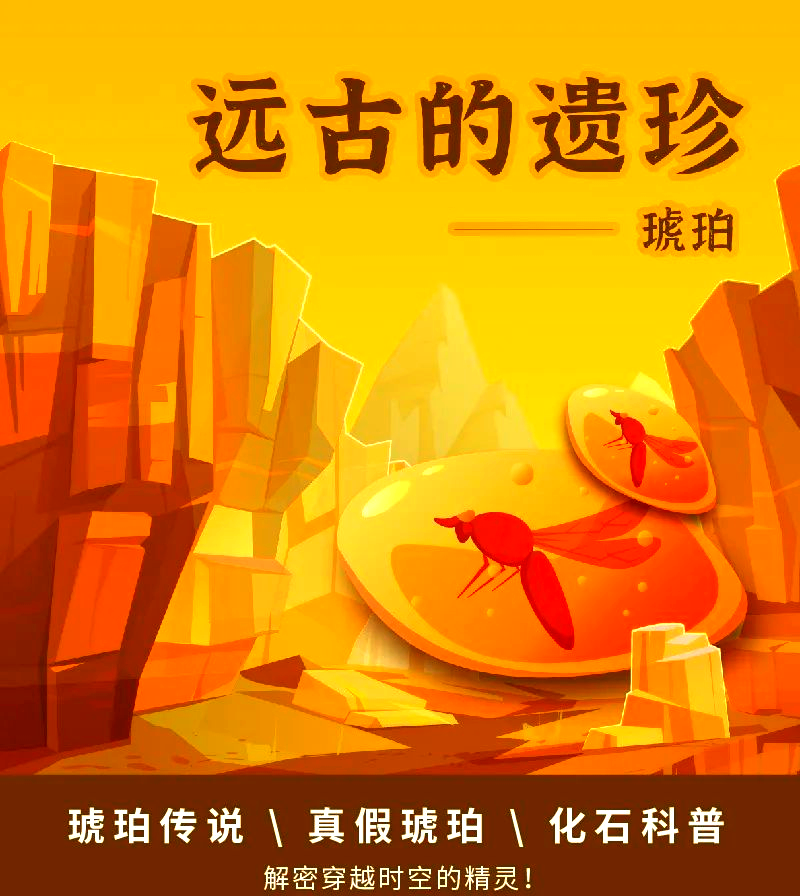 揭秘远古珍宝——琥珀的奥秘