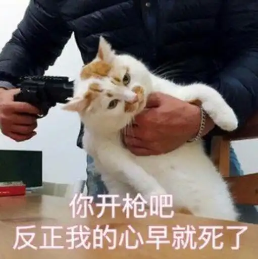 又一韩国老端游停运，对标魔兽运营12年，制作人也已经跑路