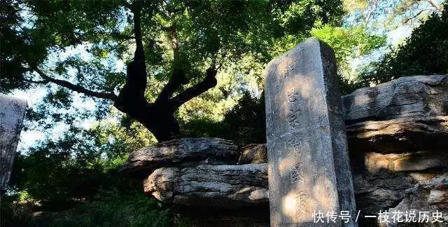 歌字几画_歌字草书_八个字的歌