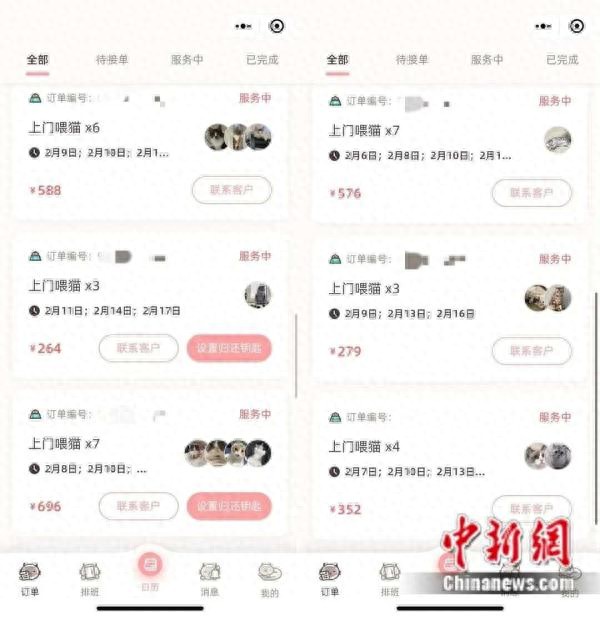 宠托师火了！春节上门“带薪撸猫”有人日入过千