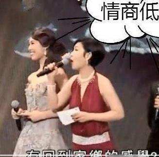 刘德华智斗黑金政治_维护国家尊严_刘德华怒怼主持人