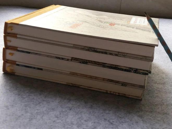 红楼梦十二金钗插图_四大名著工笔彩绘版_名家点评解读
