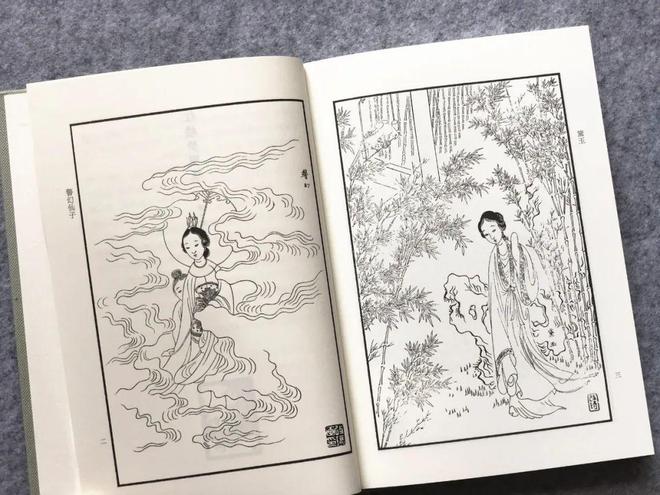 名家点评解读_红楼梦十二金钗插图_四大名著工笔彩绘版