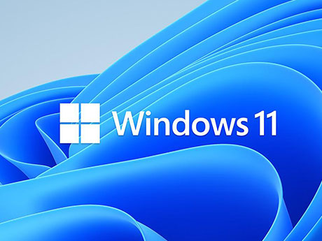 win11电脑蓝屏0xc0000001(解决教程)
