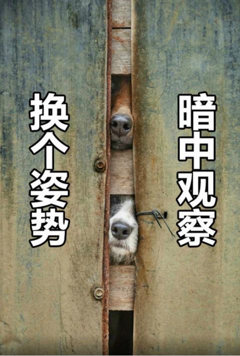 初中网吧冲级故事_冒险岛盗号经历_冒险岛怎么从魔法密林到六岔路口