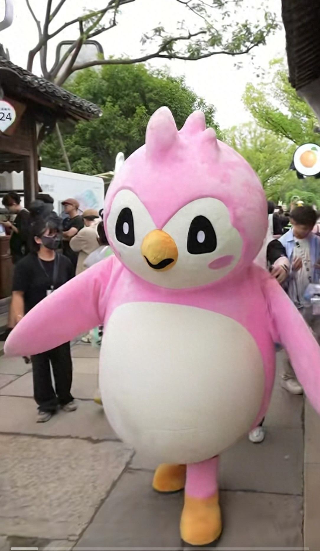 2025穿越火线活动专区_穿越火线抖音创作者大会2025_CF鹅盐官古城活动