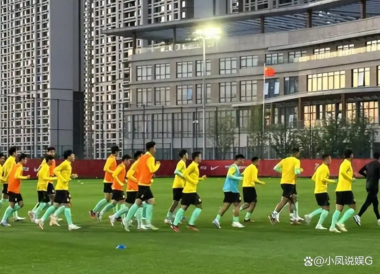 中国足球世预赛首战国足扬科维奇_国足世预赛泰国队比赛分析_中国vs泰国