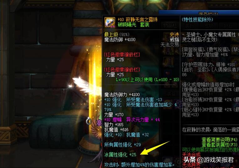 dnf加力量宝珠有哪些_DNF装备没伤害原因_年宠宠物装备缺失影响
