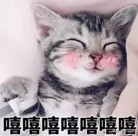 240ff03be89c94a1f07f2e65f4d07fd4.png