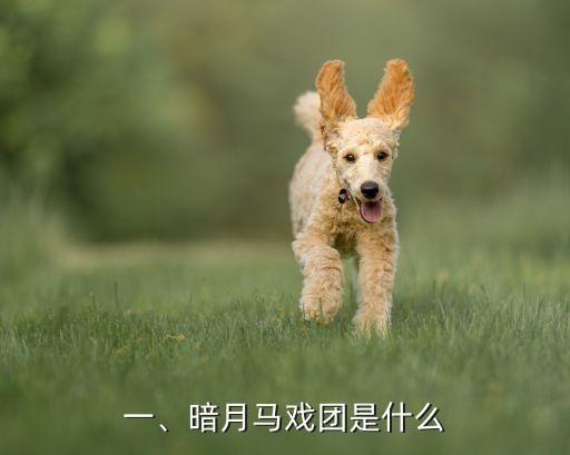 暗月马戏团怎么去,暗月马戏团攻略分享