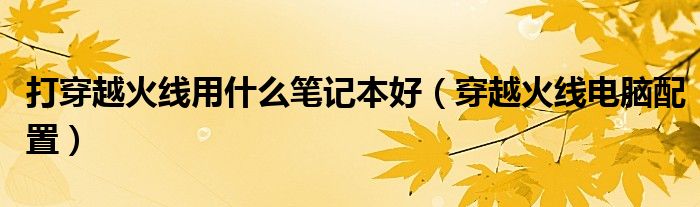 穿越火线笔记本配置要求_穿越火线最低配置参数_w10系统能玩穿越火线吗