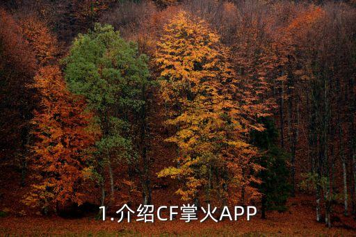 1.介绍CF掌火APP