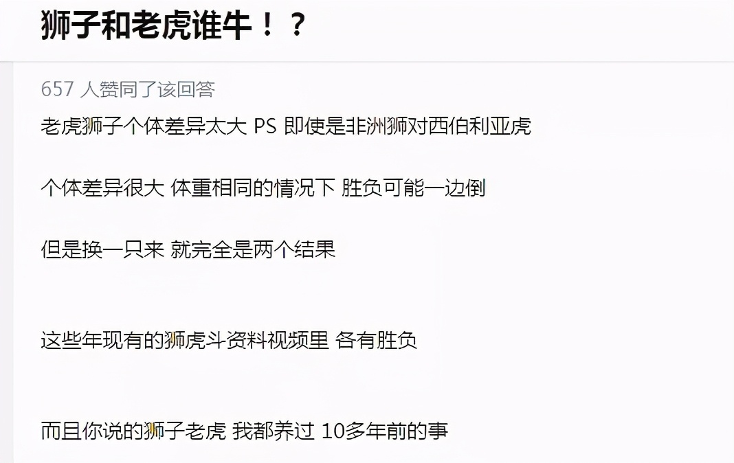 狮子战争攻略_谁是百兽之王 狮子与老虎的强弱对比 狮虎之争的历史与科学分析