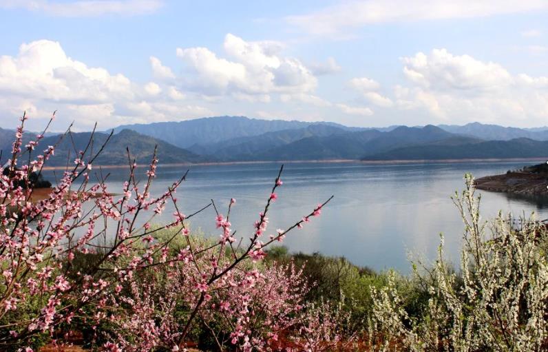 桃花源记解读_taohuayuanji_思维圈子劳动吸引力