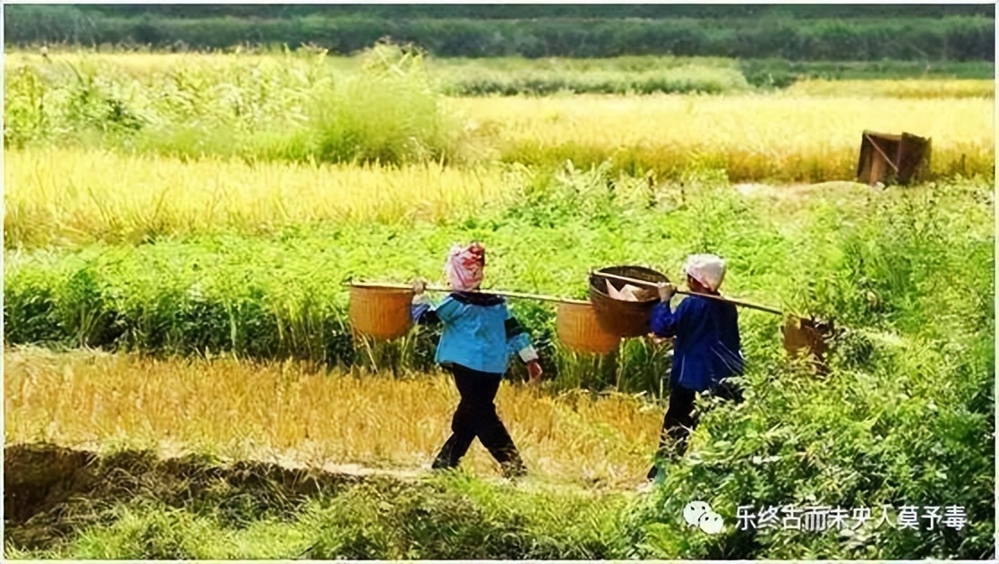 陶渊明 桃花源记 田园诗人_taohuayuanji