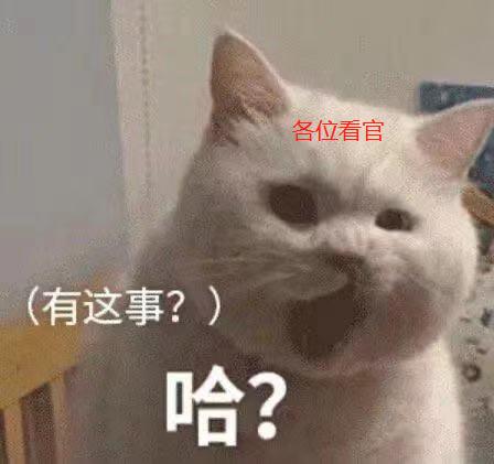 穿越火线透视外挂_王者荣耀自瞄挂_王者荣耀透视挂