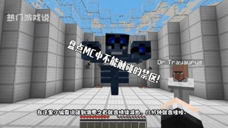 我的世界: 盘点MC中不能触碰的禁区! 老玩家: 不作死就不会死!