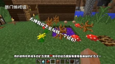 我的世界: 大神教你怎么玩转一个钻石! 萌新: 大神, 求舔钻!