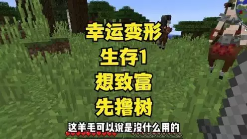 别人在我的世界轻松致富，你却还在瞎逛？
