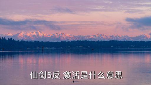 仙剑5反 激活是什么意思