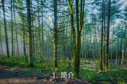 cfm4a1黑龙,黑龙CFM4A1重装上阵