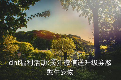 dnf福利活动:关注微信送升级券憨憨牛宠物