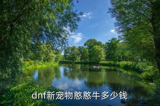 dnf新宠物憨憨牛多少钱