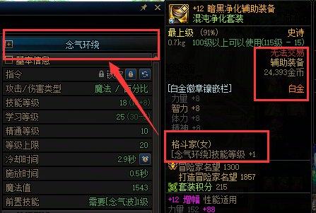全职业白金徽章技能选择搭配_dnf各职业觉醒图片_17周年庆白金徽章获取途径