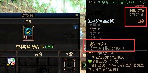 17周年庆白金徽章获取途径_dnf各职业觉醒图片_全职业白金徽章技能选择搭配