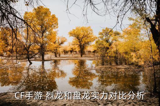 CF手游 烈龙和盘龙实力对比分析
