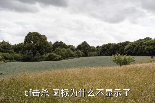 杀敌图标,cf徽章对应的杀敌图标