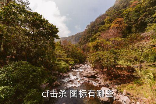 cf击杀 图标有哪些