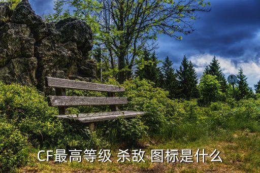 CF最高等级 杀敌 图标是什么